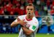 WORLD CUP: POLITICS ON THE PITCH