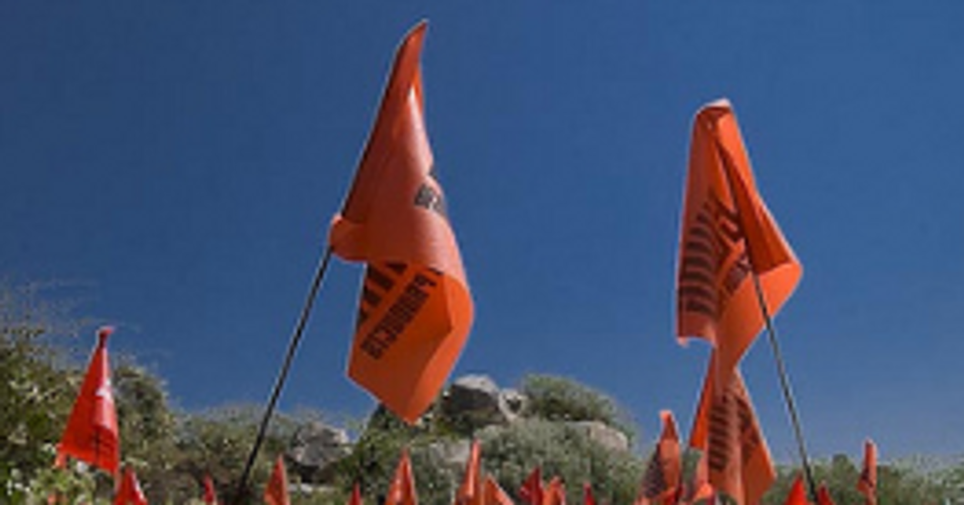 FLickr- Orange flags