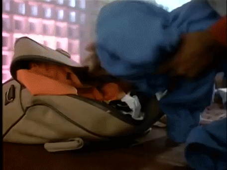 Giphy- Packing GIF