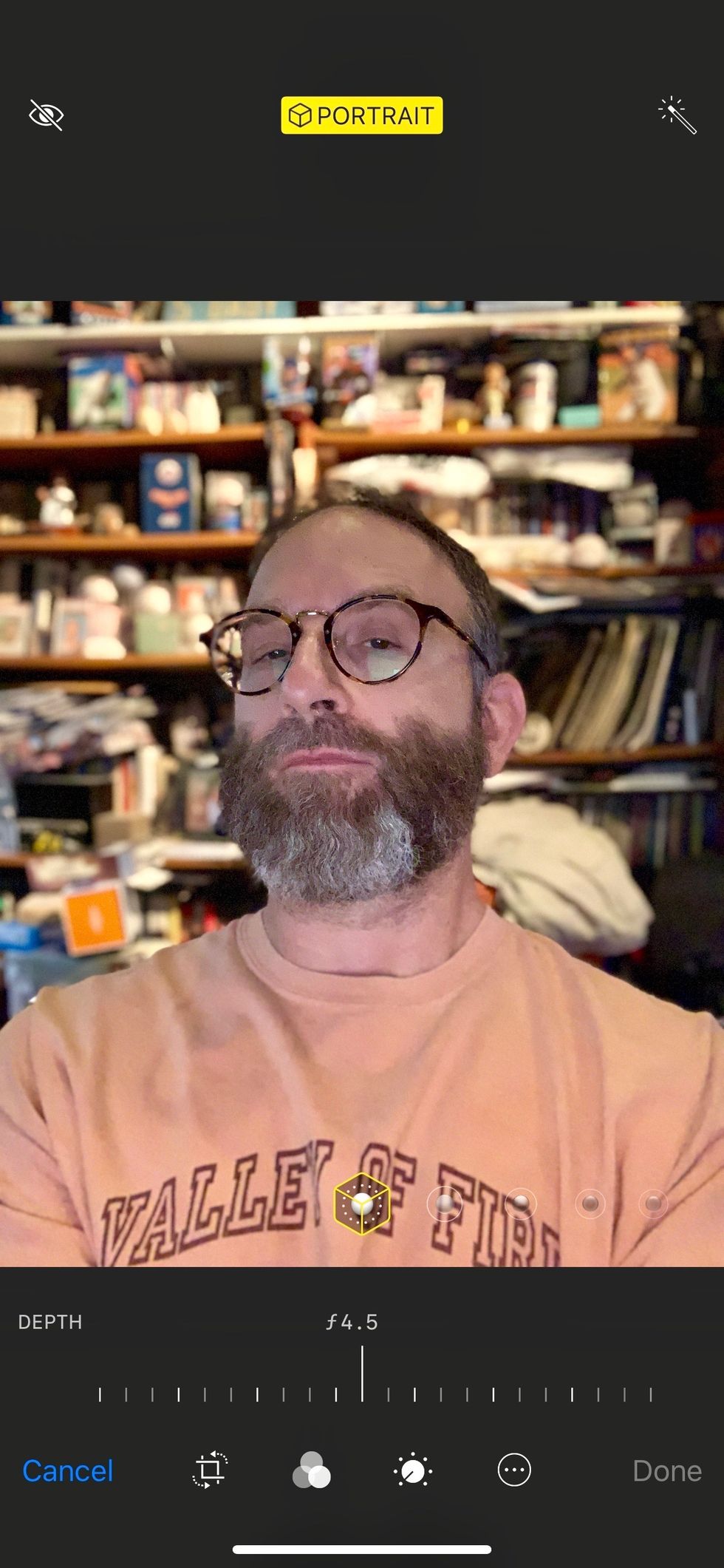 Picture of the camera screen on iPhone XS Max