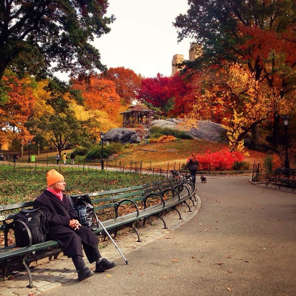 6 Things To Do This Fall In NYC