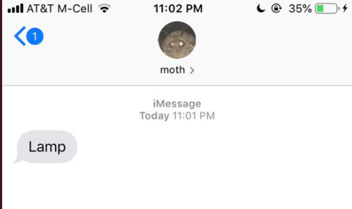 Moth Memes Are Now A Viral Trend--And We're Drawn Like Moths To A Flame ðŸ”¥