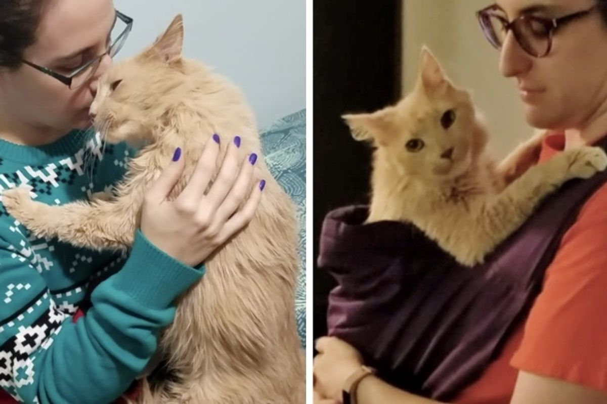 Couple Saves Cat from Shelter, the Kitty Holds onto Them and Won't Let Go