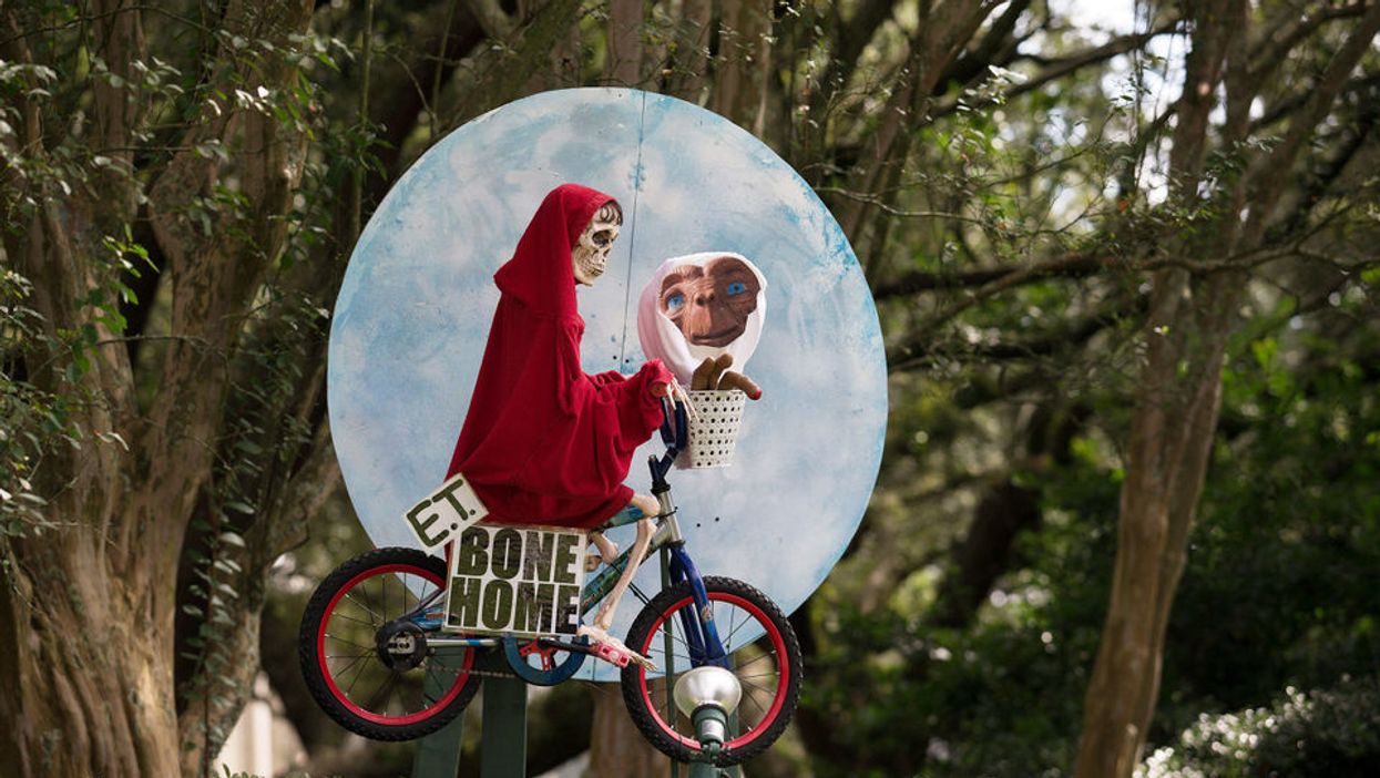These comical New Orleans skeletons are sure to tickle your funny bone