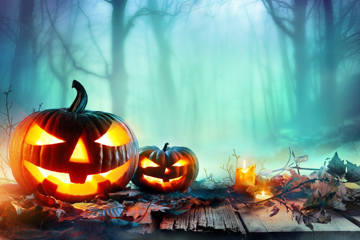picture of pumpkins lit up on halloween night.