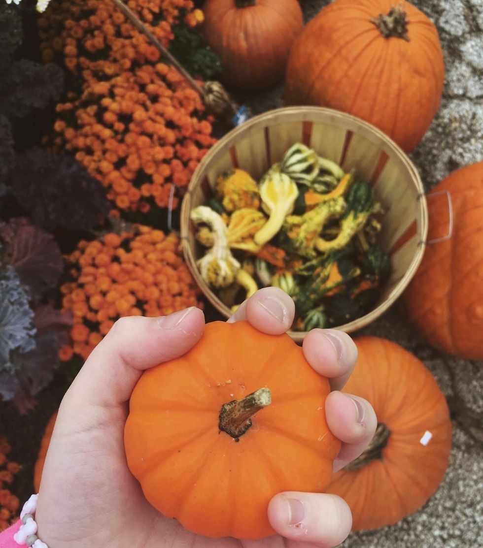 The Ultimate List Of Basic Fall Activities