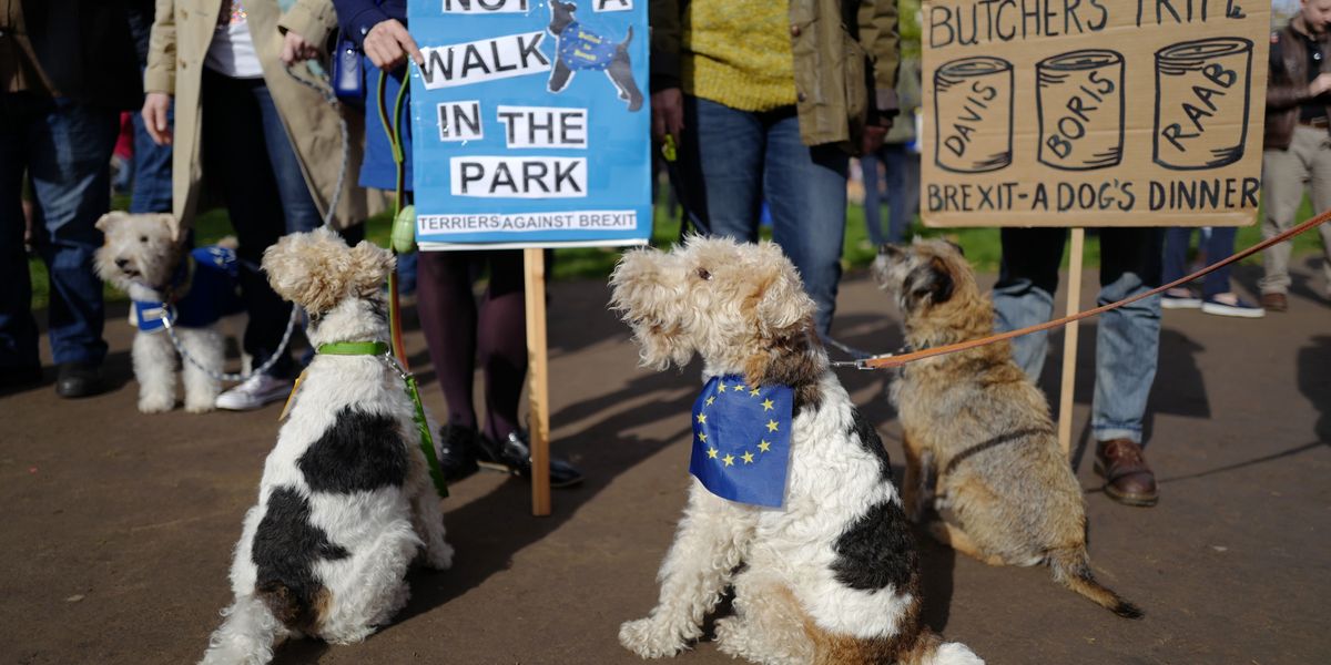 Hundreds of Dogs Marched in London to Protest Brexit