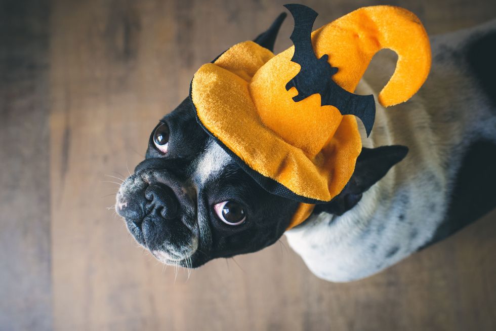 11 Instagram Captions For The Halloween Obsessed