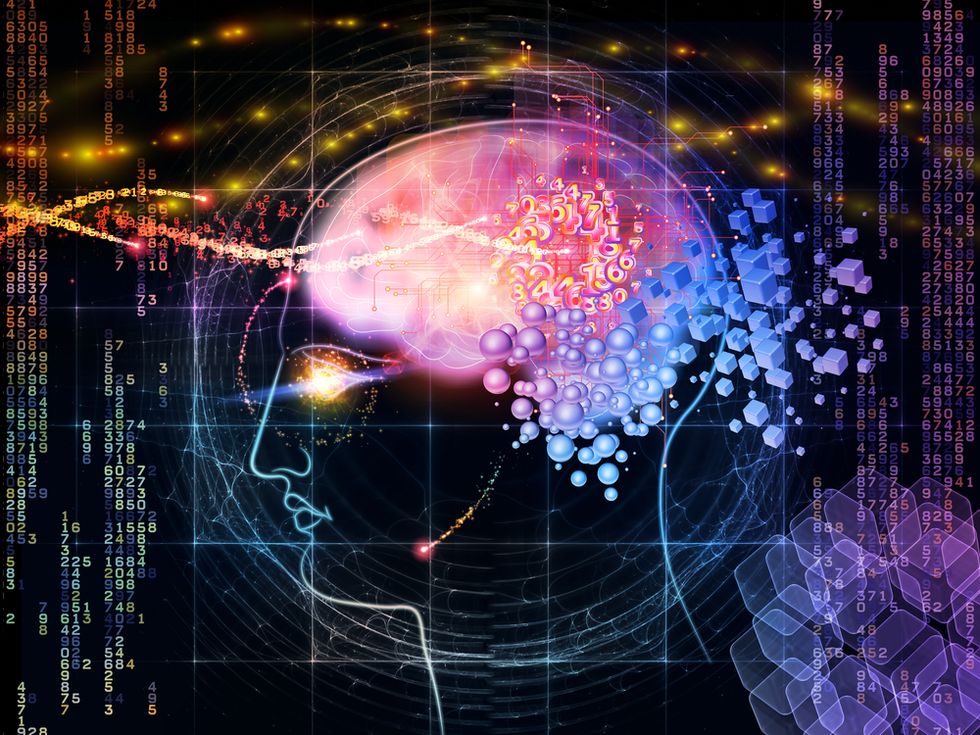 Neuroaesthetics: Beauty is in the Brain of the Beholder