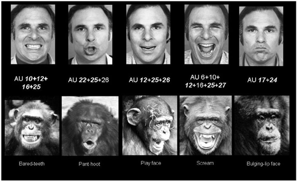 Reading the Seven Universal Expressions Big Think Reading the Seven Universal Expressions Big Think