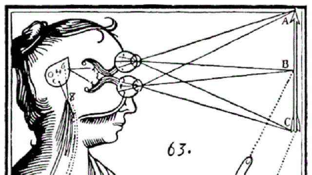 The Illusion of Conscious Will