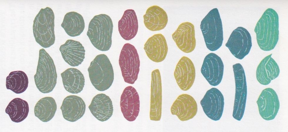 Ingeniously Deep: a Map of North Sea Bivalves