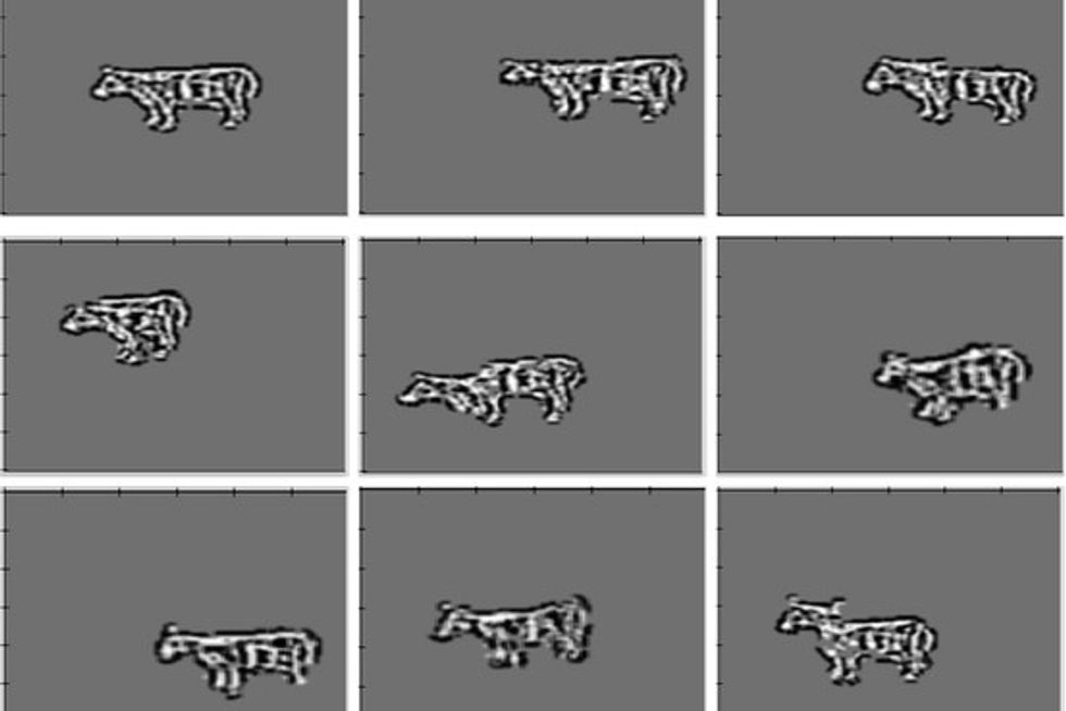 Machine Uses "Imagination" to Draw Images