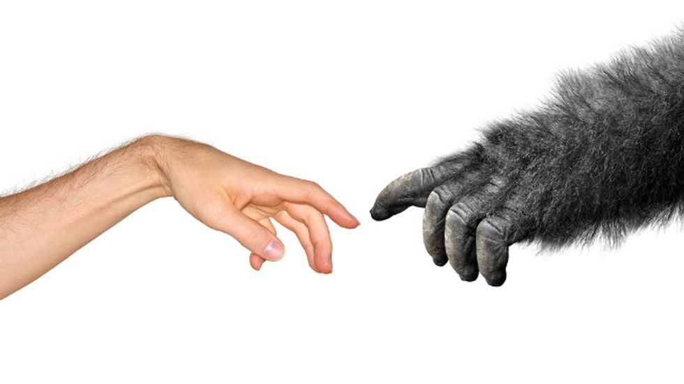 The Trouble with Darwin