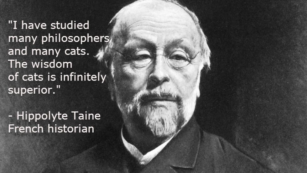 Cats and Philosophers Big Think