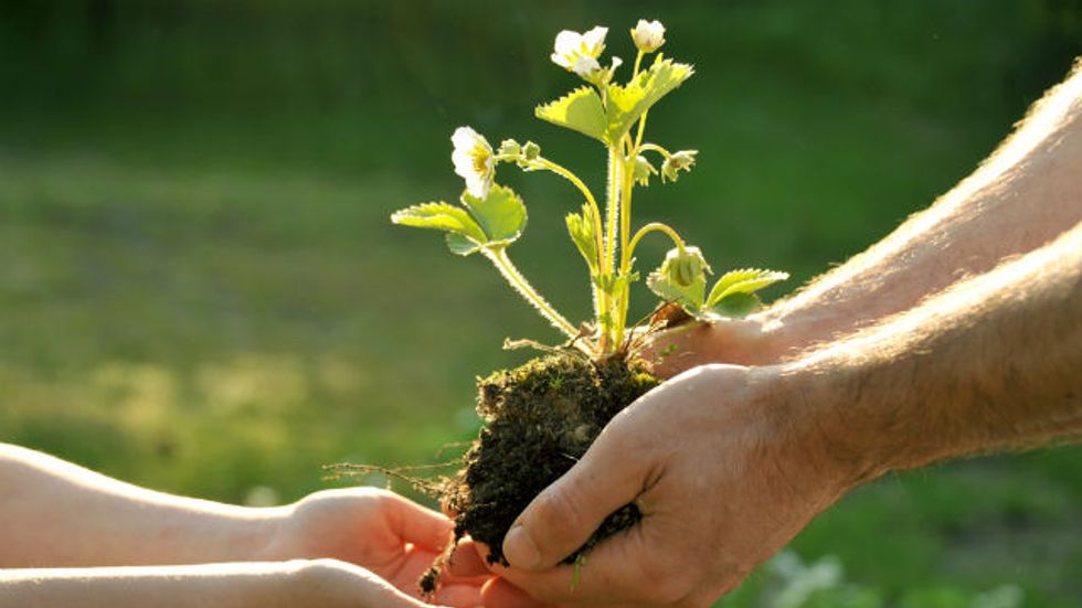 Reinventing Value for Investors and Job Seekers
