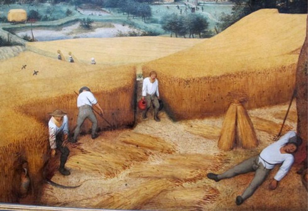 How Global Warming Leaches Nutrients Out of Food