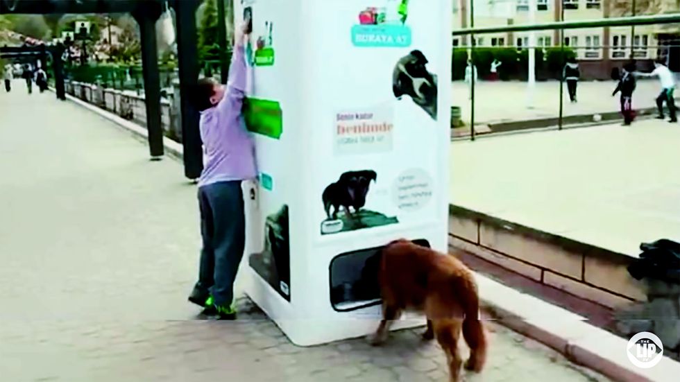 Bin Transforms Recycled Bottles into Food for Animals We Love