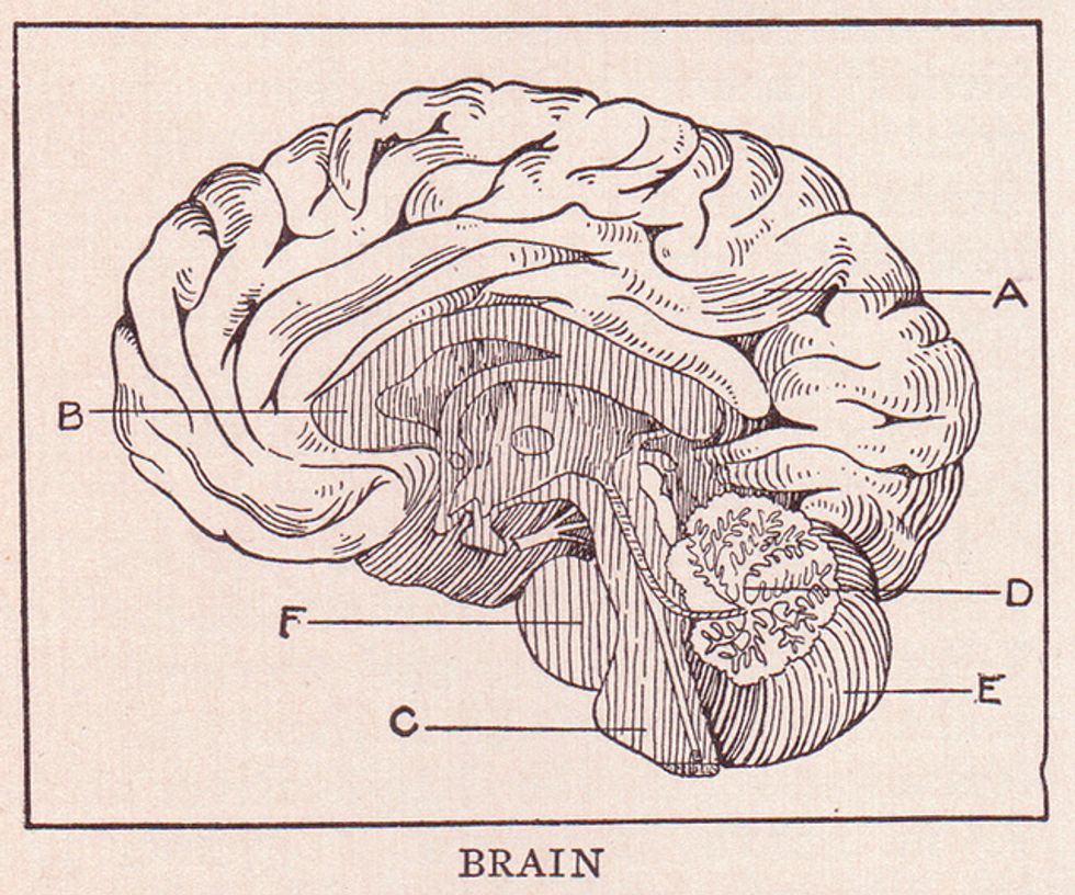 The Floating Brain: Learning in the 21st Century