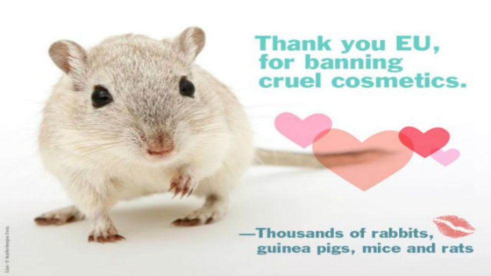 the-ban-on-animal-testing-morally-right-emotionally-appealing-but