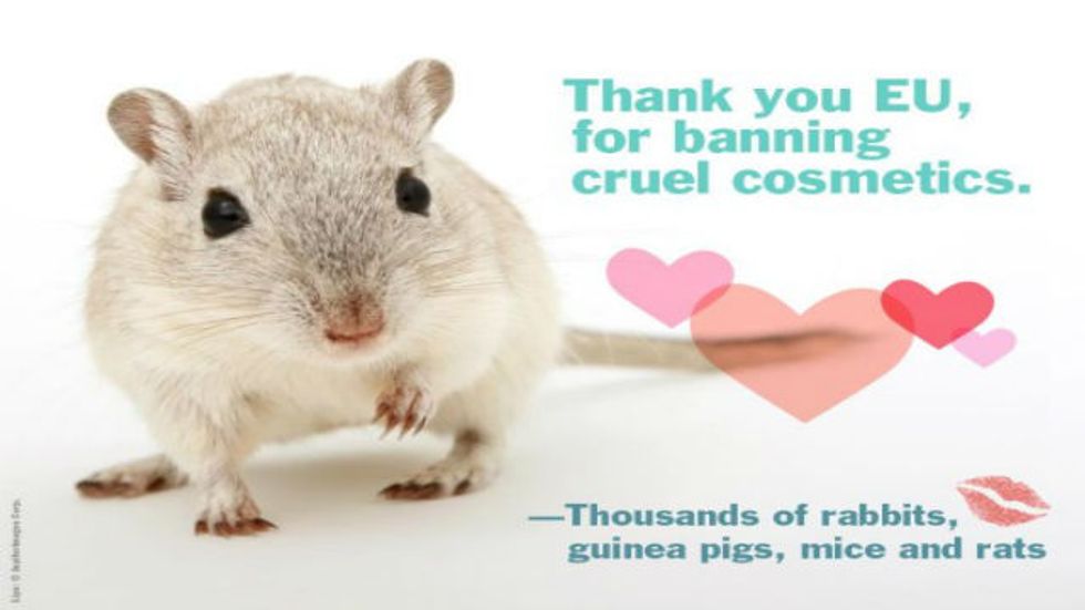 The Ban on Animal Testing. Morally Right, Emotionally Appealing, but Dangerous?