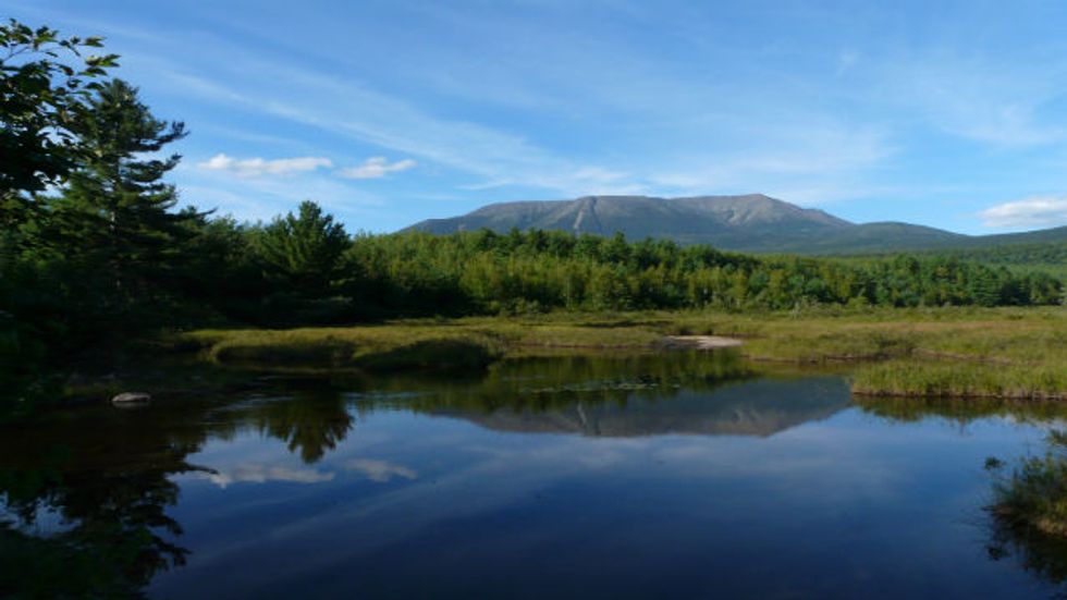 The Anthropocentric Arrogance Of Classical Environmentalism