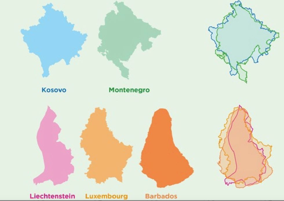 How many countries have a cartographic twin?