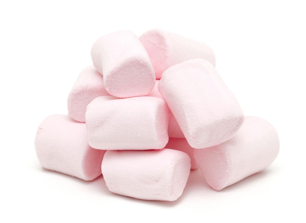 Professor Behind the Stanford Marshmallow Experiment Explains the Value