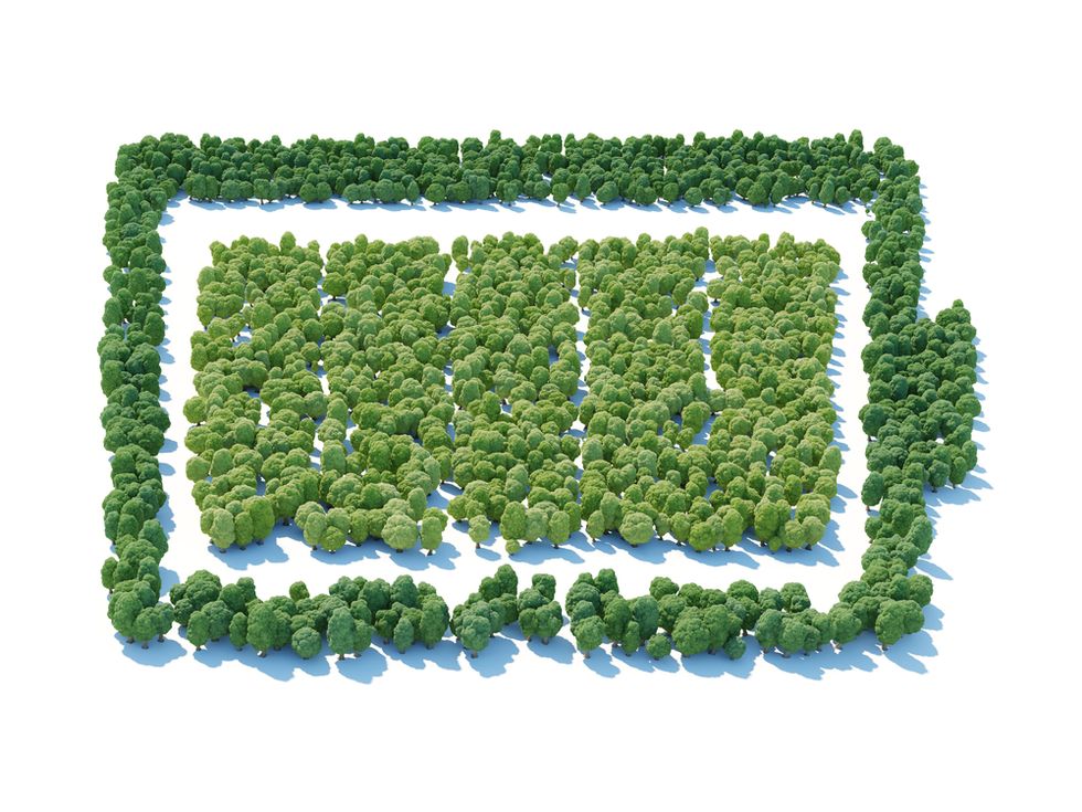 Researchers Develop Battery That Runs on Renewable Organics