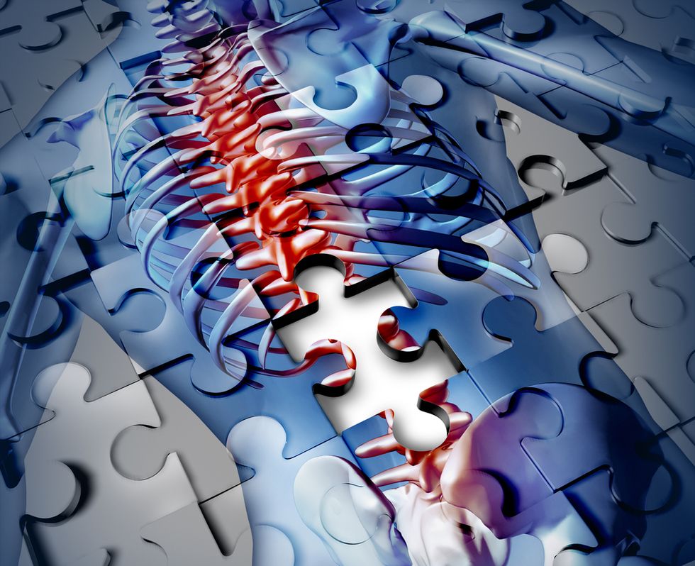 The Sense of Smell May Hold the Secret to Spinal Cord Repair