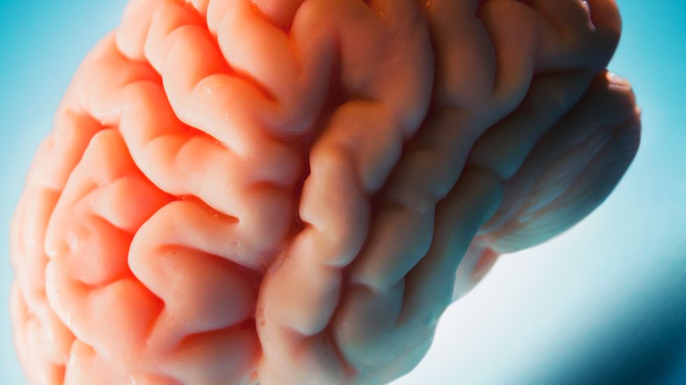 How Common Myths About the Human Brain Can Be Dangerous