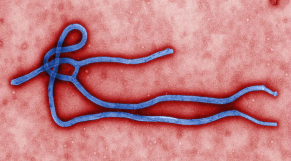 Fear of Ebola. A Greater Risk Than the Disease Itself
