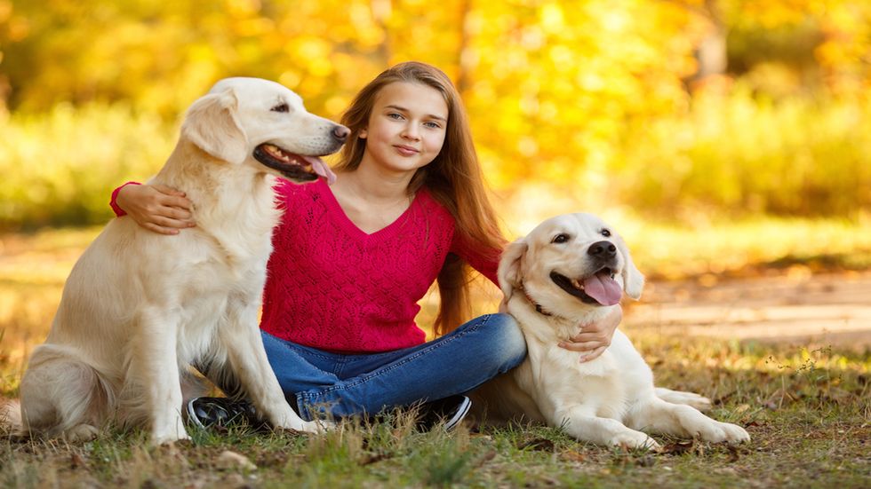 Brain Scans Show Dogs Think of Humans as Family More than Fellow Dogs
