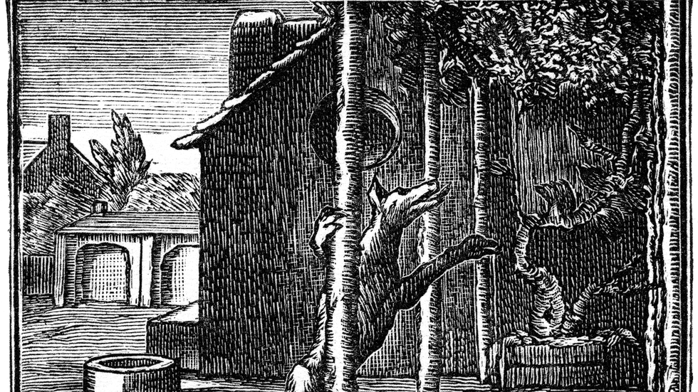 The Triumph of The Most Poisonous Emotion