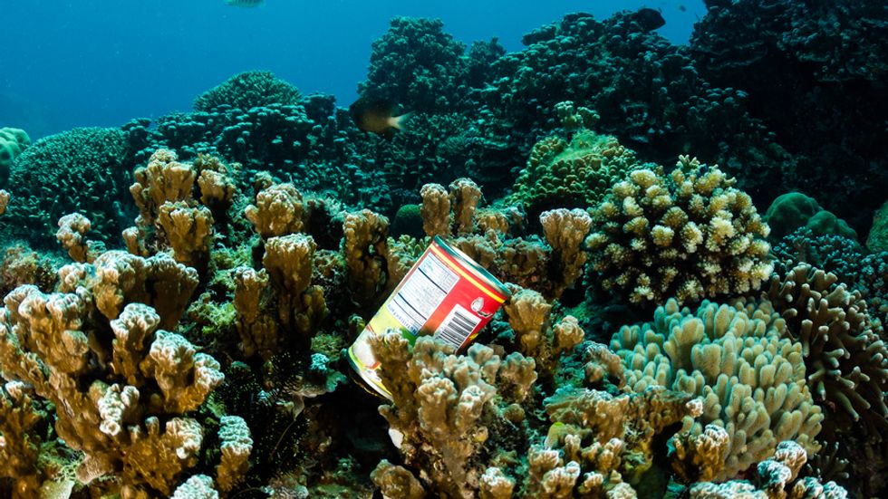 Aquarium Exhibit Explores How Marine Debris Can Produce Clean Energy