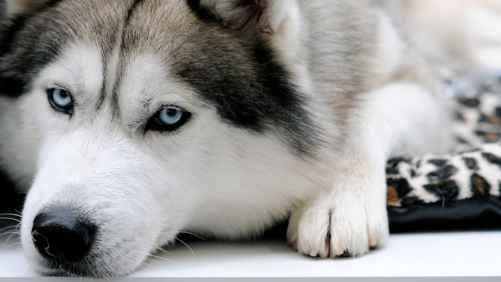 Moments of Boredom May Help You Be More Creative