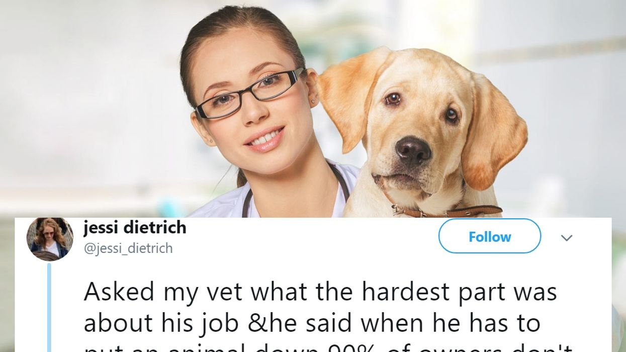 This Upsetting Viral Thread About Veterinarians Will Have You Hugging Your Pets Even Closer 😥