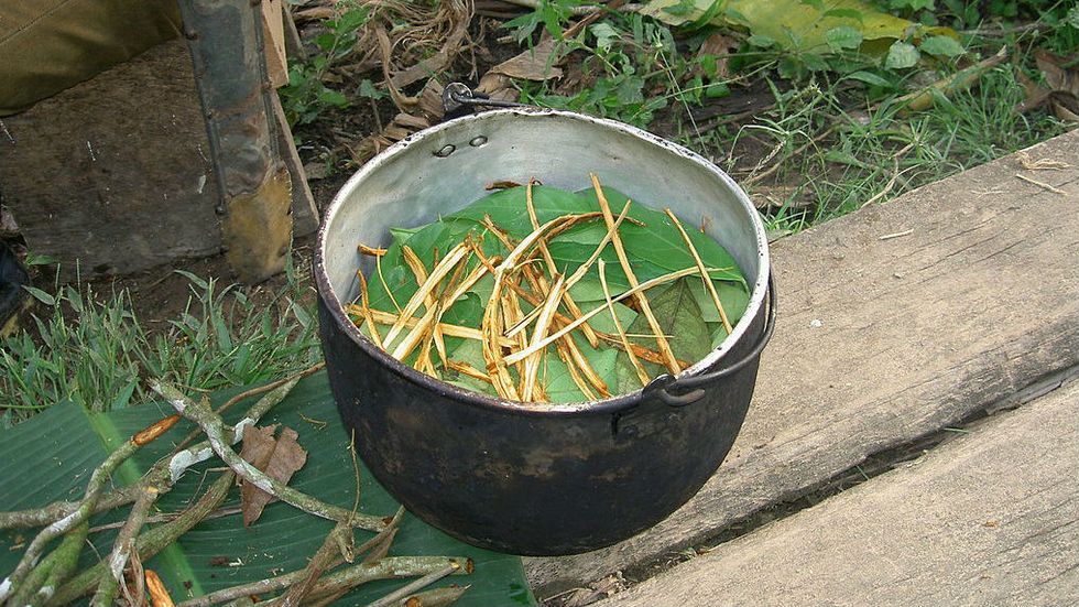 Amazonian psychedelic may ease severe depression, new study shows