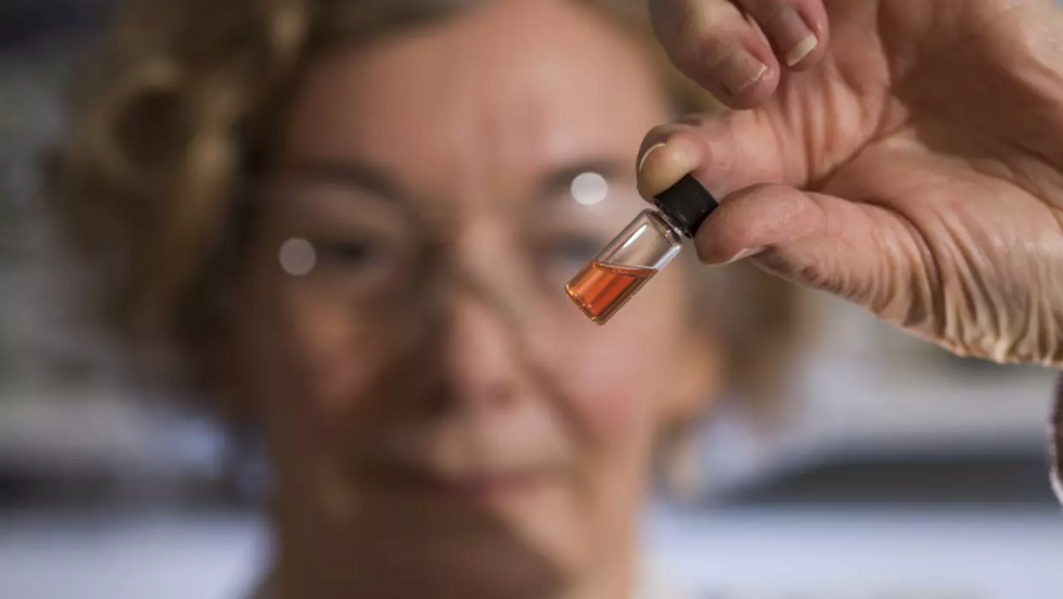 world's oldest color is hot pink bacteria