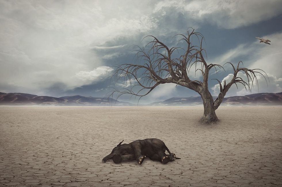 Global warming will raise suicide rates
