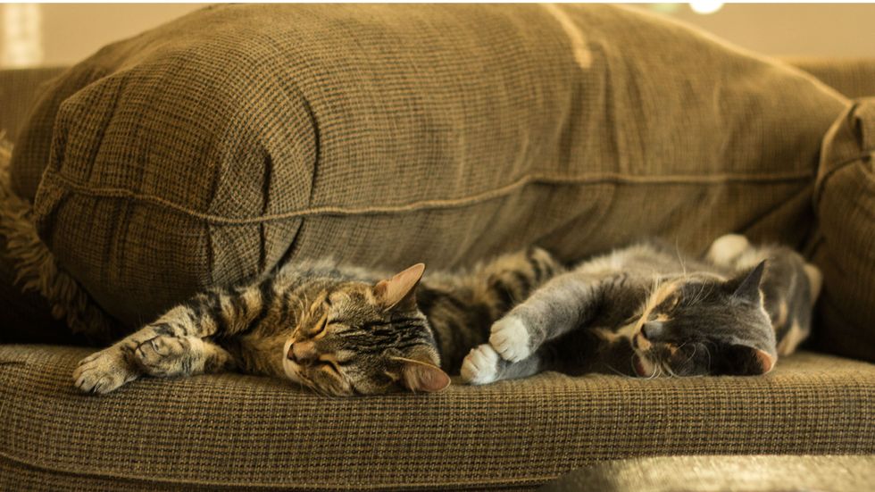 Researchers say this 5-minute technique could help you fall asleep more quickly