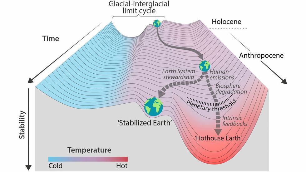 Credit: PNAS