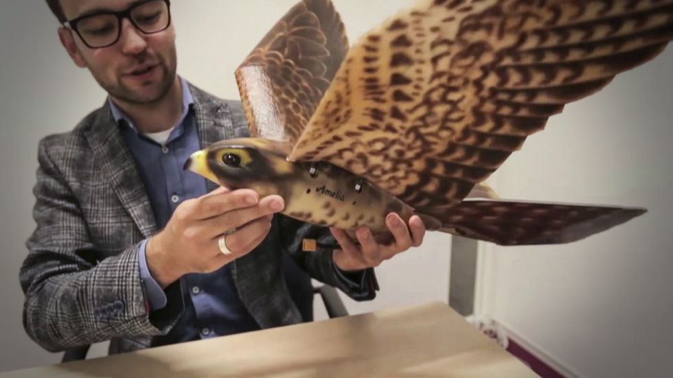 robotic bird.