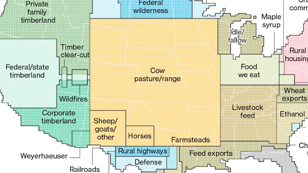 Urban areas take up less than 4% of the coterminous U.S., cattle-rearing gobbles up more than 40%