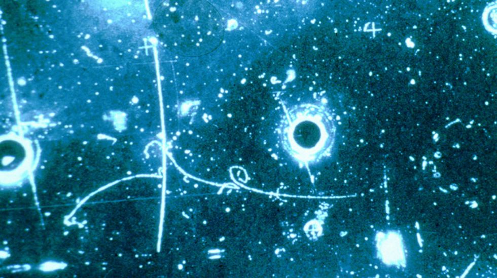 Tracks of particles through the Gargamelle bubble chamber.