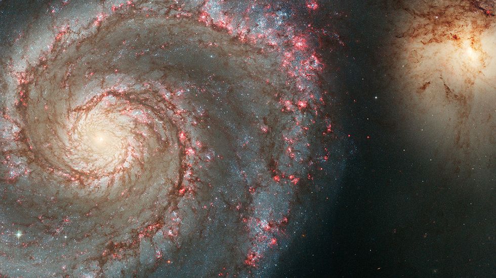 According to the Great Filter theory, Earth might be one of the only planets with intelligent life. And that's a good thing.