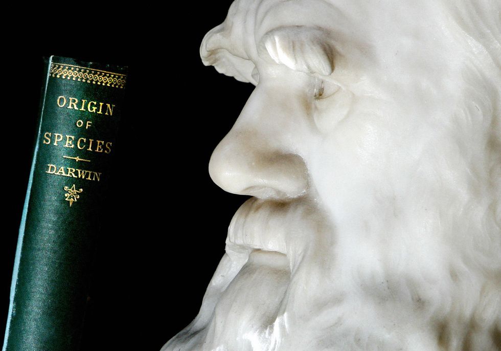 Bust of Darwin and his book, Origin of Species