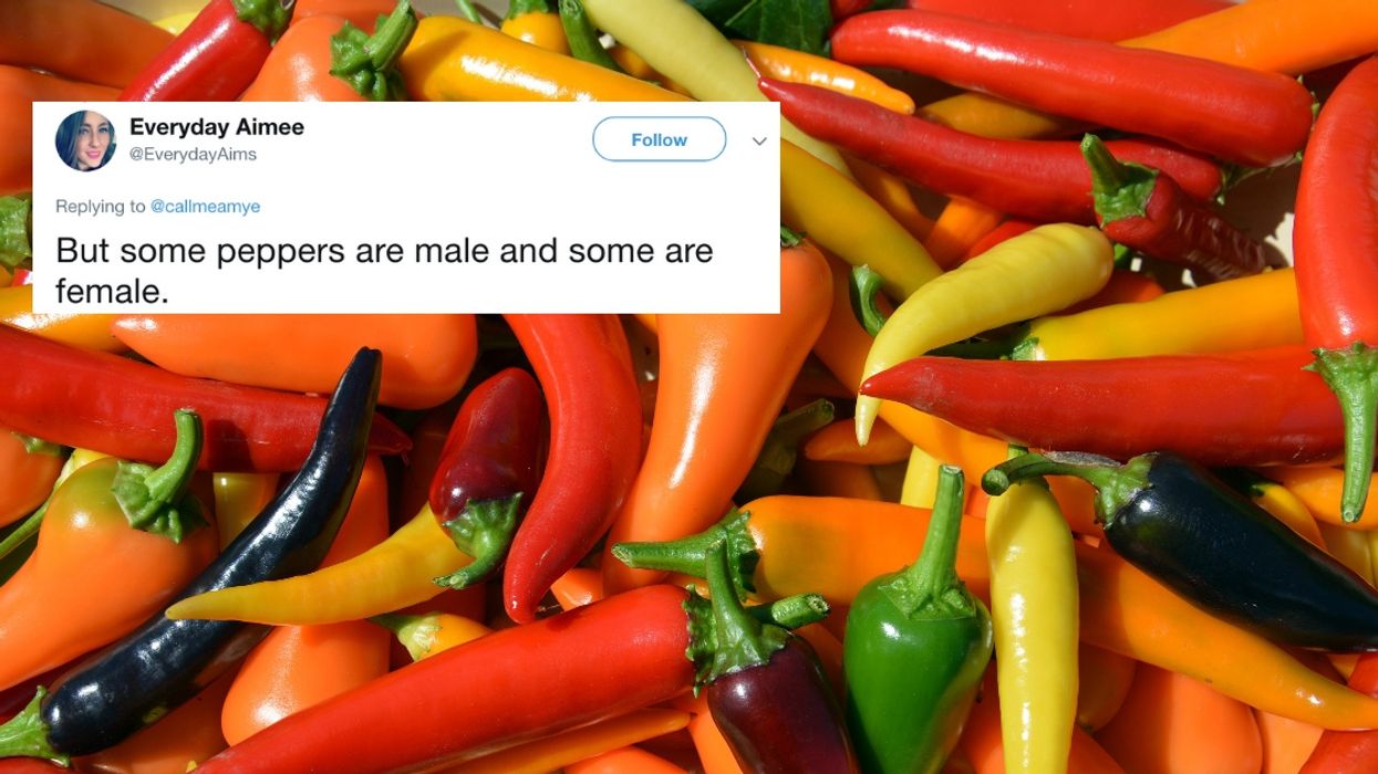 There Is A Huge Twitter Debate About Whether Red, Yellow, And Green Peppers Are All The Same Pepper—Seriously?