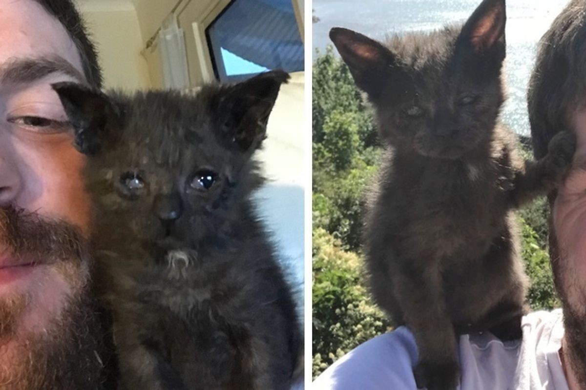 Man Refused to Give Up on Kitten When No One Knew If She Would Survive