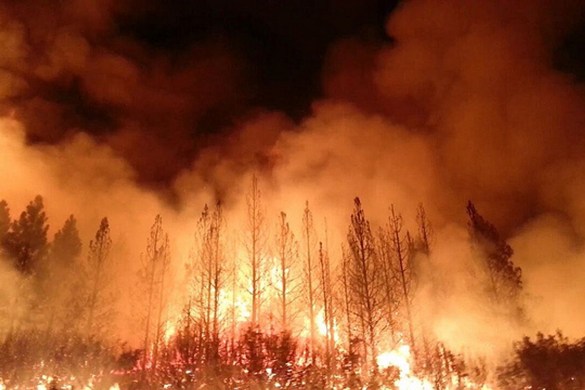 Donald Trump Warns California: Stop Burning, OR ELSE